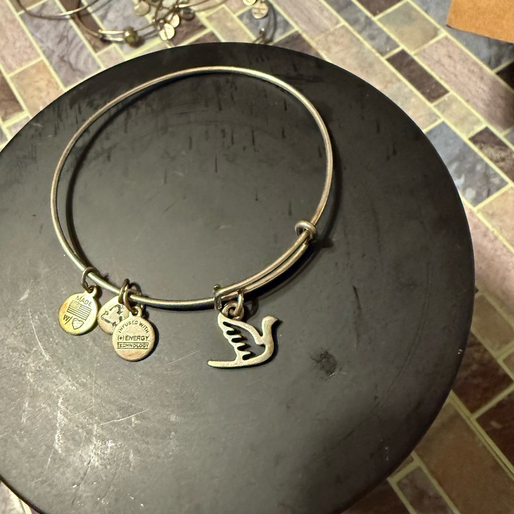 Alex and Ani Dove Bracelet